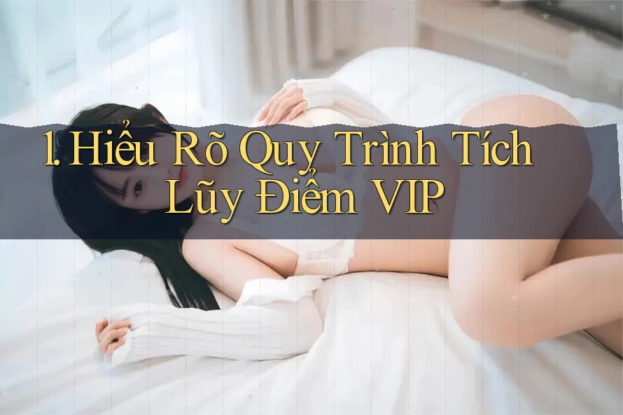 1. Hiểu Rõ Quy Trình Tích Lũy Điểm VIP