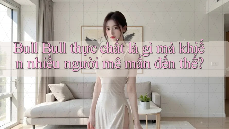 Bull Bull thực chất là gì mà khiến nhiều người mê mẩn đến thế?