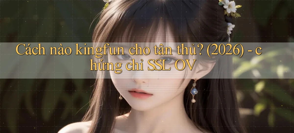 Cách nào kingfun cho tân thủ (2026)   chứng chỉ SSL OV