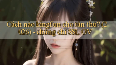Cách nào kingfun cho tân thủ (2026)   chứng chỉ SSL OV