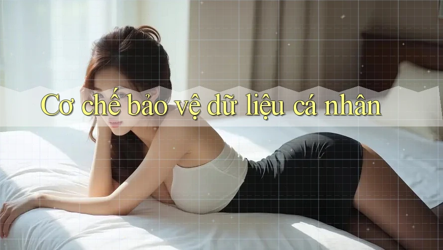 Cơ chế bảo vệ dữ liệu cá nhân