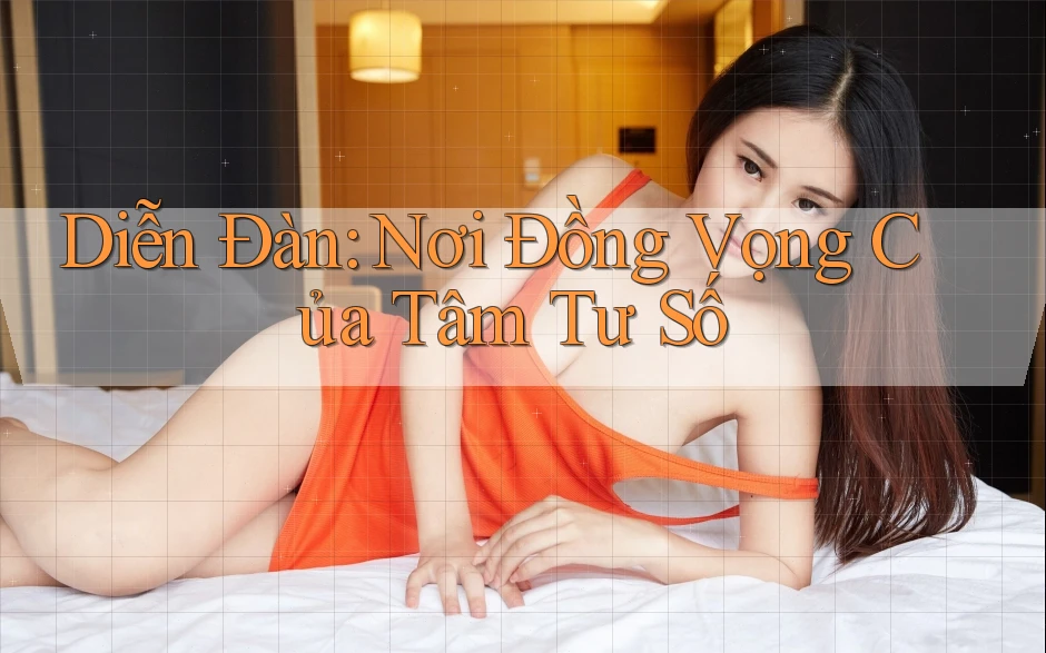 Diễn Đàn: Nơi Đồng Vọng Của Tâm Tư Số Diễn Đàn: Nơi Đồng Vọng Của Tâm Tư Số