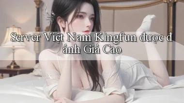 server việt nam kingfun được đánh giá cao